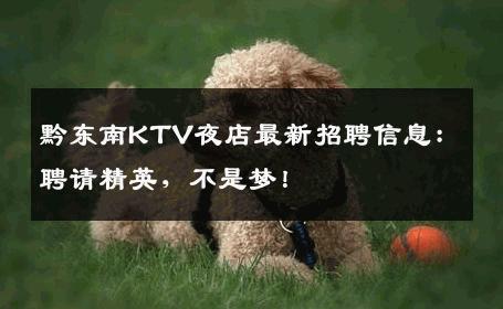 黔东南KTV夜店最新招聘信息：聘请精英，不是梦！