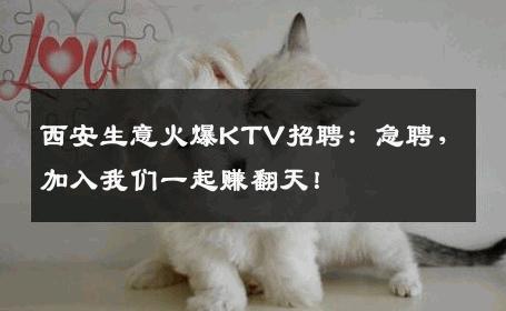 西安生意火爆KTV招聘：急聘，加入我们一起赚翻天！