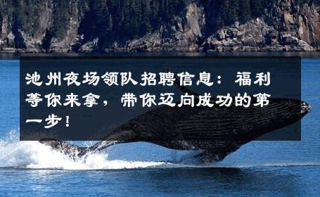 池州夜场领队招聘信息：福利等你来拿，带你迈向成功的第一步！