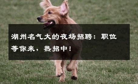 湖州名气大的夜场招聘：职位等你来，热招中！