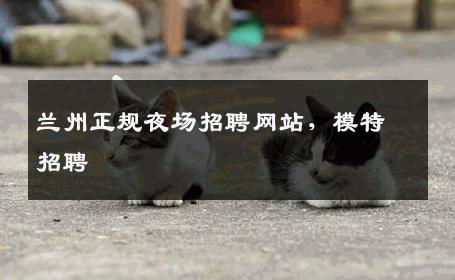 兰州正规夜场招聘网站，模特招聘