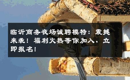 临沂商务夜场诚聘模特：震撼来袭！福利火热等你加入，立即报名！