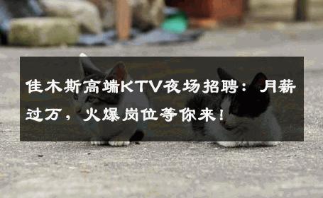 佳木斯高端KTV夜场招聘：月薪过万，火爆岗位等你来！