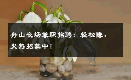 舟山夜场兼职招聘：轻松赚，火热招募中！