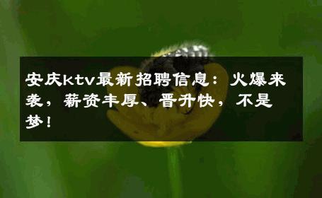 安庆ktv最新招聘信息：火爆来袭，薪资丰厚、晋升快，不是梦！