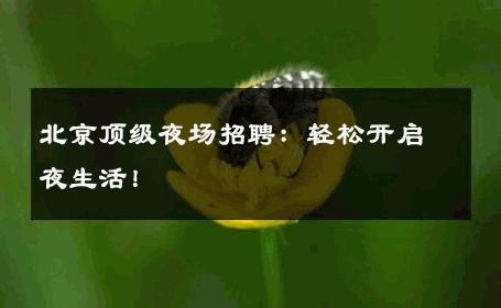 北京顶级夜场招聘：轻松开启夜生活！