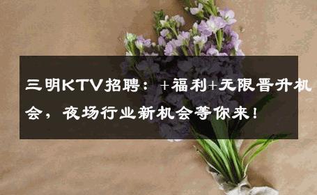 三明KTV招聘：+福利+无限晋升机会，夜场行业新机会等你来！