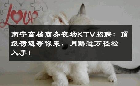 南宁高档商务夜场KTV招聘：顶级待遇等你来，月薪过万轻松入手！