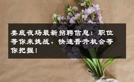 娄底夜场最新招聘信息：职位等你来挑战，快速晋升机会等你把握！