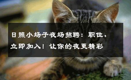 日照小场子夜场招聘：职位，立即加入！让你的夜更精彩