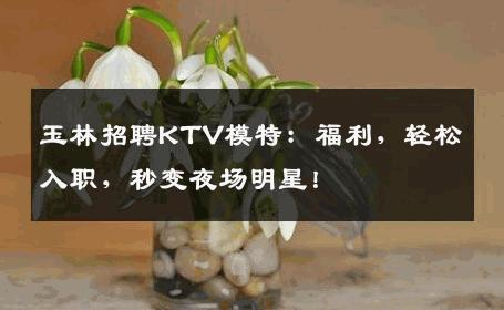玉林招聘KTV模特：福利，轻松入职，秒变夜场明星！