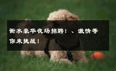 衡水豪华夜场招聘！、激情等你来挑战！