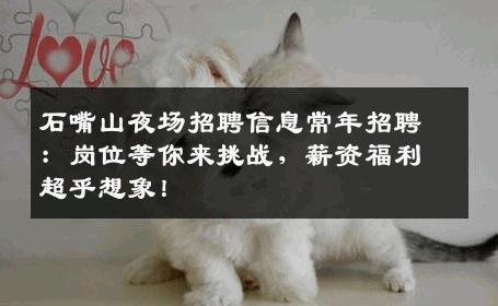 石嘴山夜场招聘信息常年招聘：岗位等你来挑战，薪资福利超乎想象！