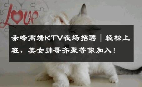赤峰高端KTV夜场招聘｜轻松上班，美女帅哥齐聚等你加入！