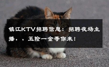镇江KTV招聘信息：招聘夜场主播，，五险一金等你来！