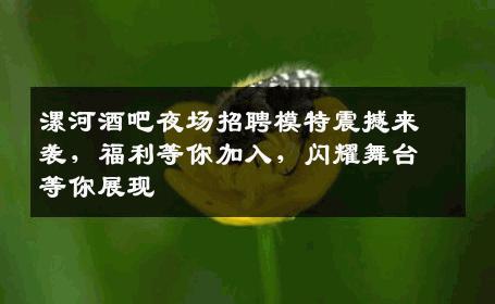 漯河酒吧夜场招聘模特震撼来袭，福利等你加入，闪耀舞台等你展现