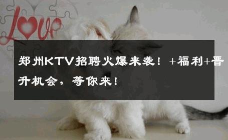 郑州KTV招聘火爆来袭！+福利+晋升机会，等你来！