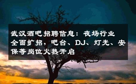 武汉酒吧招聘信息：夜场行业全面扩招，吧台、DJ、灯光、安保等岗位火热开启
