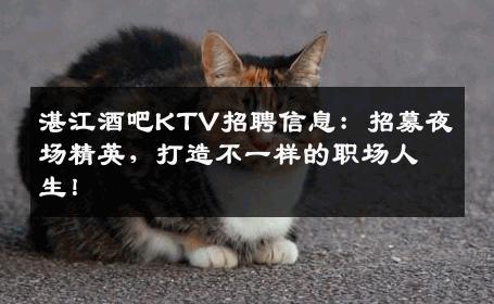 湛江酒吧KTV招聘信息：招募夜场精英，打造不一样的职场人生！