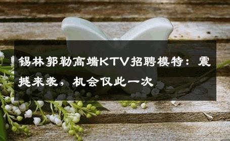 锡林郭勒高端KTV招聘模特：震撼来袭，机会仅此一次