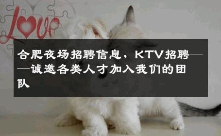合肥夜场招聘信息，KTV招聘——诚邀各类人才加入我们的团队