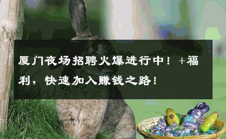 厦门夜场招聘火爆进行中！+福利，快速加入赚钱之路！