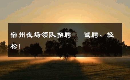 宿州夜场领队招聘 _ 诚聘，轻松！