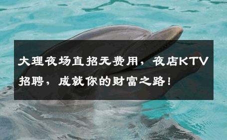 大理夜场直招无费用，夜店KTV招聘，成就你的财富之路！