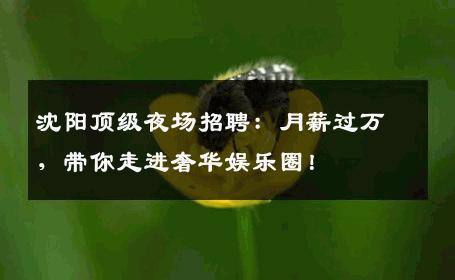 沈阳顶级夜场招聘：月薪过万，带你走进奢华娱乐圈！