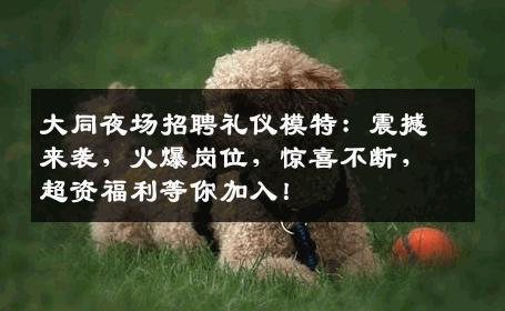 大同夜场招聘礼仪模特：震撼来袭，火爆岗位，惊喜不断，超资福利等你加入！