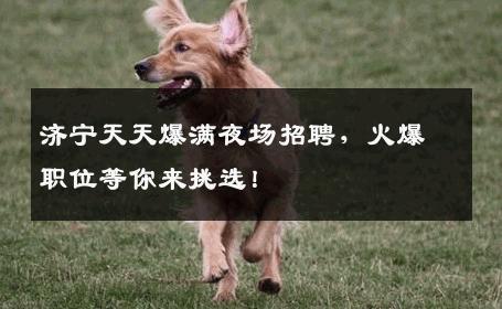 济宁天天爆满夜场招聘，火爆职位等你来挑选！