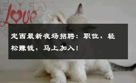 定西最新夜场招聘：职位，轻松赚钱，马上加入！