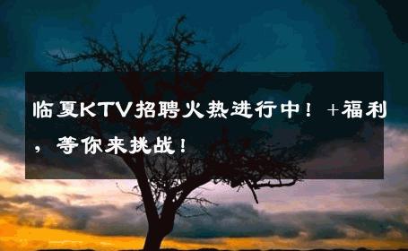 临夏KTV招聘火热进行中！+福利，等你来挑战！