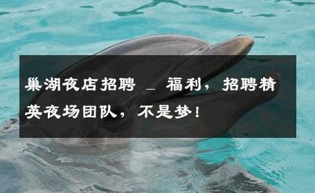 巢湖夜店招聘 _ 福利，招聘精英夜场团队，不是梦！
