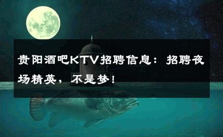 贵阳酒吧KTV招聘信息：招聘夜场精英，不是梦！