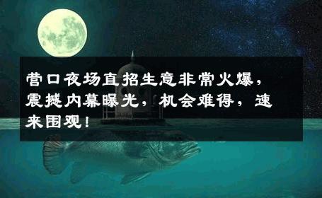 营口夜场直招生意非常火爆，震撼内幕曝光，机会难得，速来围观！