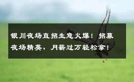 银川夜场直招生意火爆！招募夜场精英，月薪过万轻松拿！