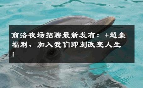 商洛夜场招聘最新发布：+超豪福利，加入我们即刻改变人生！
