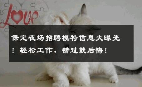 保定夜场招聘模特信息大曝光！轻松工作，错过就后悔！