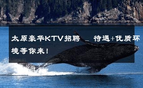 太原豪华KTV招聘 _ 待遇+优质环境等你来！