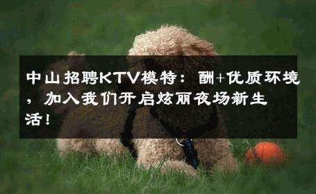 中山招聘KTV模特：酬+优质环境，加入我们开启炫丽夜场新生活!