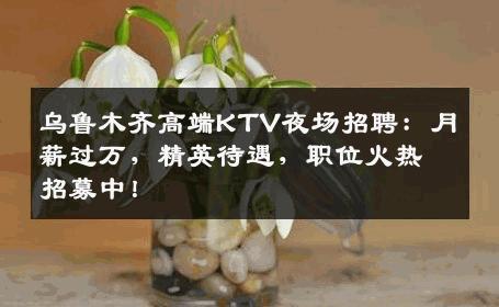 乌鲁木齐高端KTV夜场招聘：月薪过万，精英待遇，职位火热招募中！
