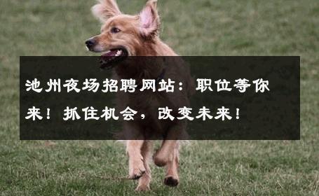 池州夜场招聘网站：职位等你来！抓住机会，改变未来！