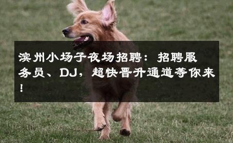 滨州小场子夜场招聘：招聘服务员、DJ，超快晋升通道等你来！