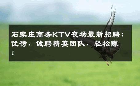 石家庄商务KTV夜场最新招聘：优待，诚聘精英团队，轻松赚！