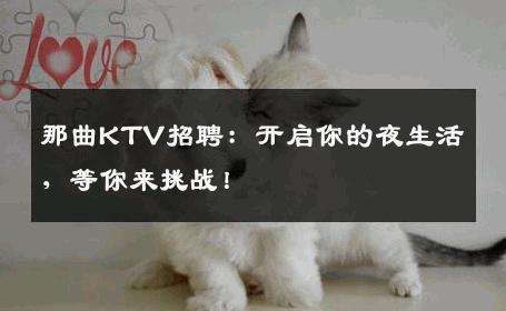 那曲KTV招聘：开启你的夜生活，等你来挑战！