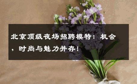 北京顶级夜场招聘模特：机会，时尚与魅力并存！