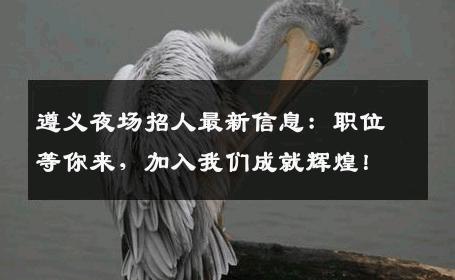 遵义夜场招人最新信息：职位等你来，加入我们成就辉煌！