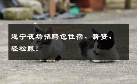 遂宁夜场招聘包住宿，薪资，轻松赚！