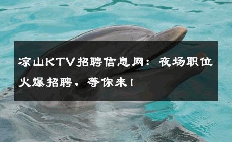凉山KTV招聘信息网：夜场职位火爆招聘，等你来！